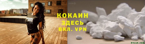 мдпв Коряжма