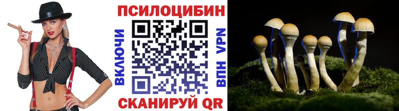 Псилоцибиновые грибы Psilocybine cubensis  Нефтекамск 